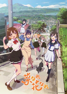 Na Nare Hana Nare Episode 5